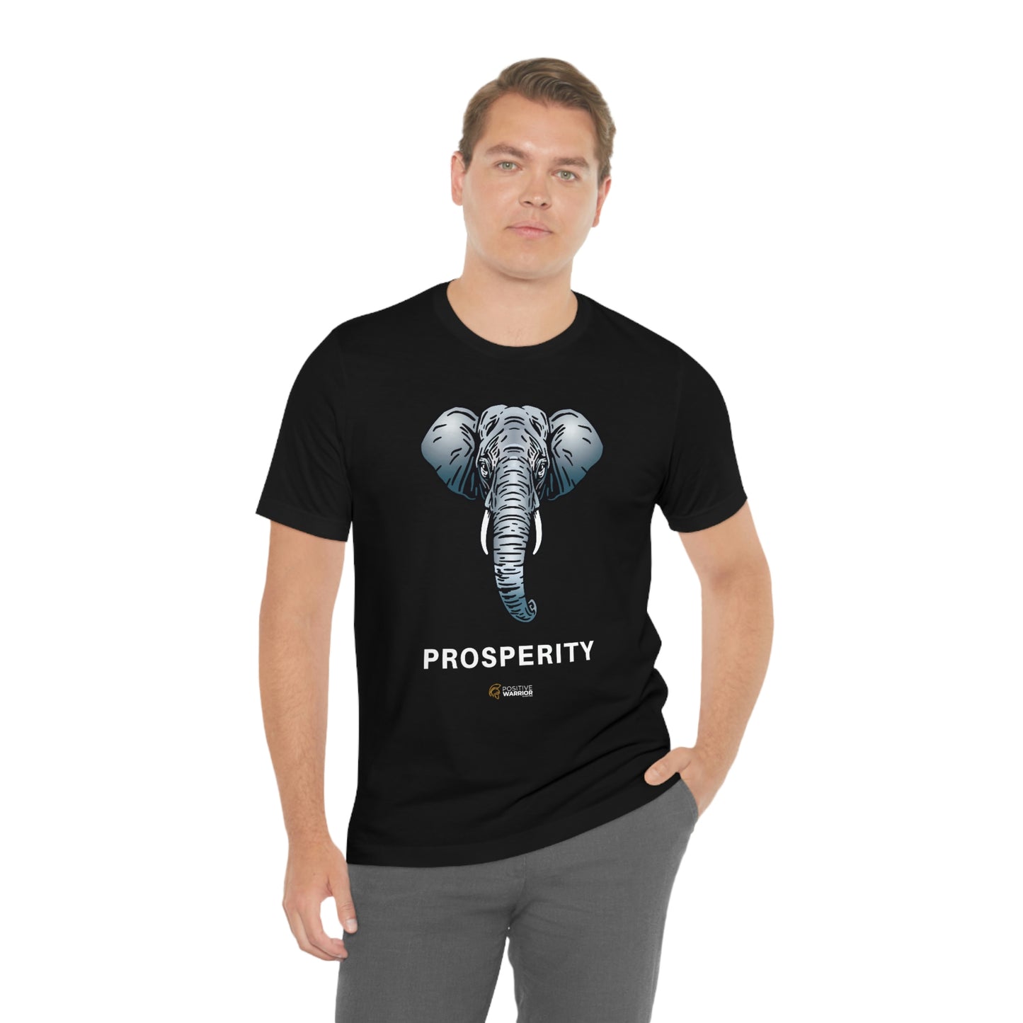Elephant Prosperity Spirit Animal Unisex Tee